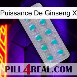 Ginseng Power X 28